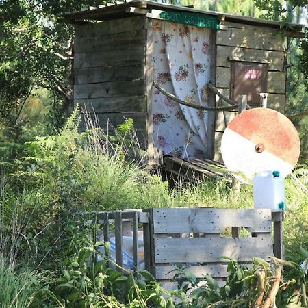 Tipi Lodge Dans La Foret Mimizan-Plage Zewnętrze zdjęcie