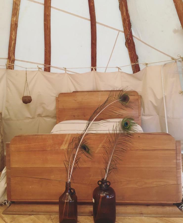 Tipi Lodge Dans La Foret Mimizan-Plage Zewnętrze zdjęcie
