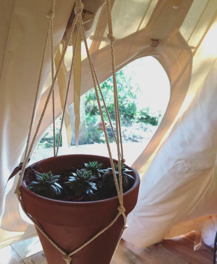 Tipi Lodge Dans La Foret Mimizan-Plage Zewnętrze zdjęcie