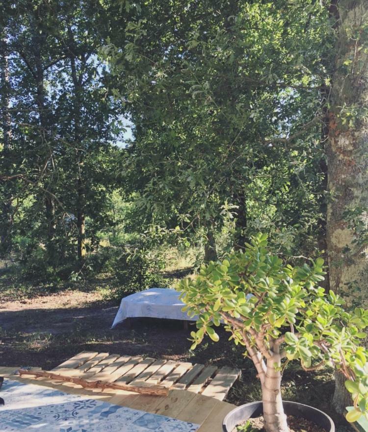Tipi Lodge Dans La Foret Mimizan-Plage Zewnętrze zdjęcie